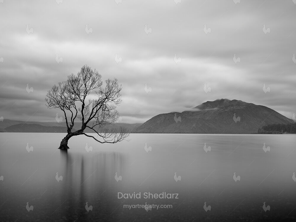 Wanaka Mist