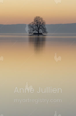L'ile de Peilz