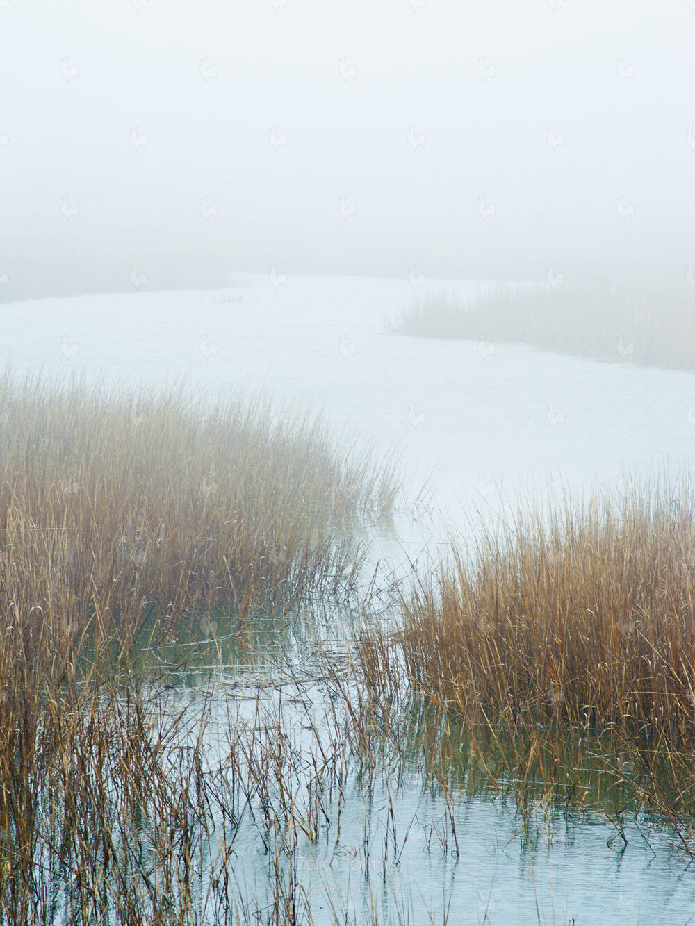 Minimal Visibility No. 8 (Print 1 of 25)