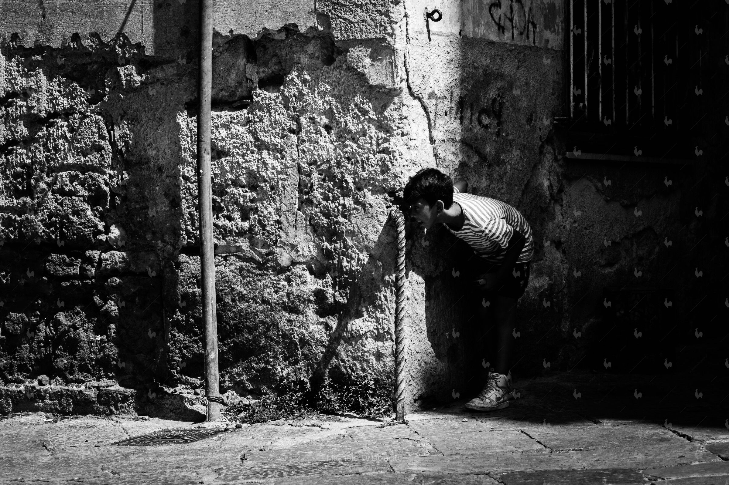I Siciliani (7)