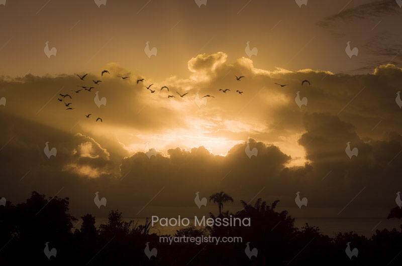 Sunrise on Pepeekeo