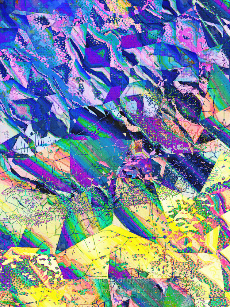 L'étoile de mer