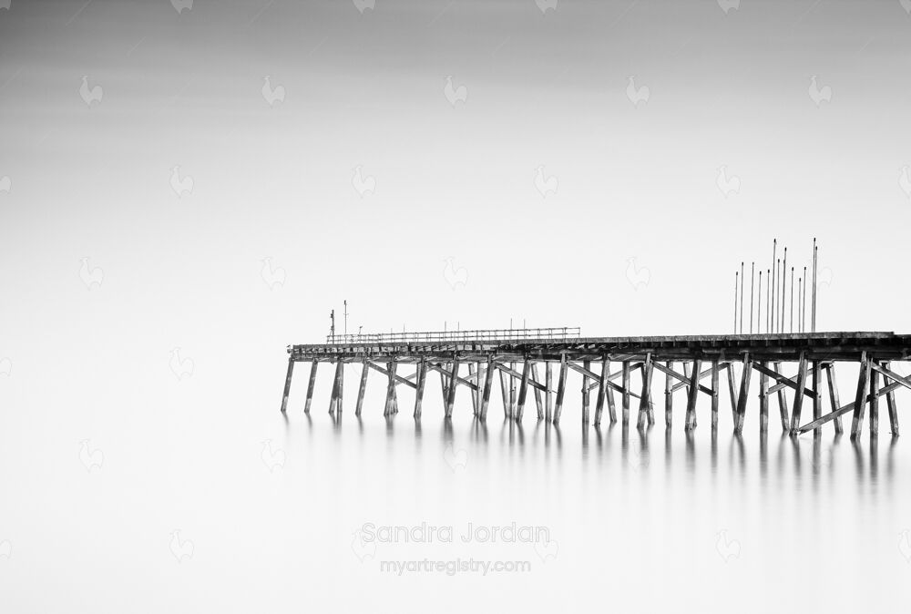 Out of Season #31