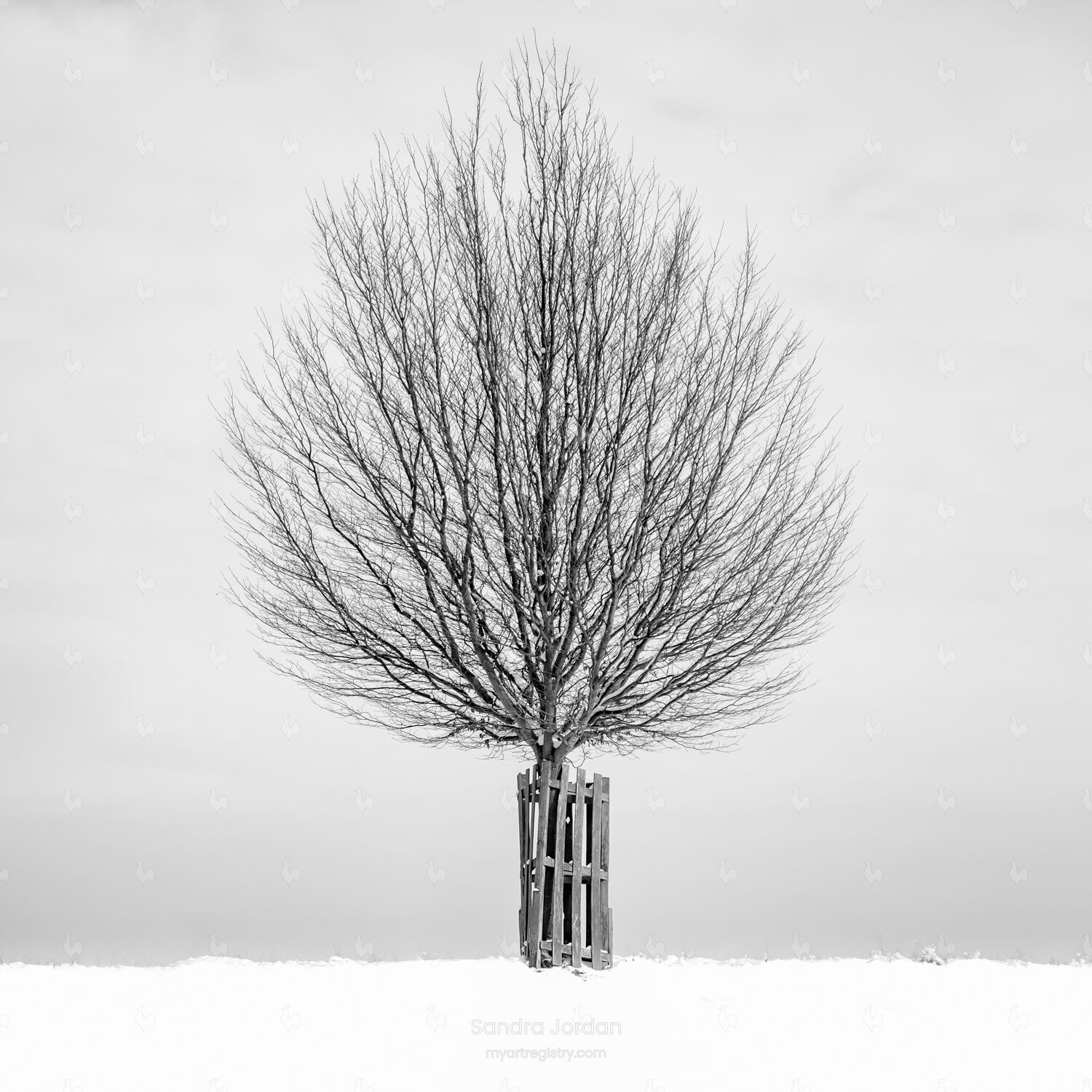 Alone #9