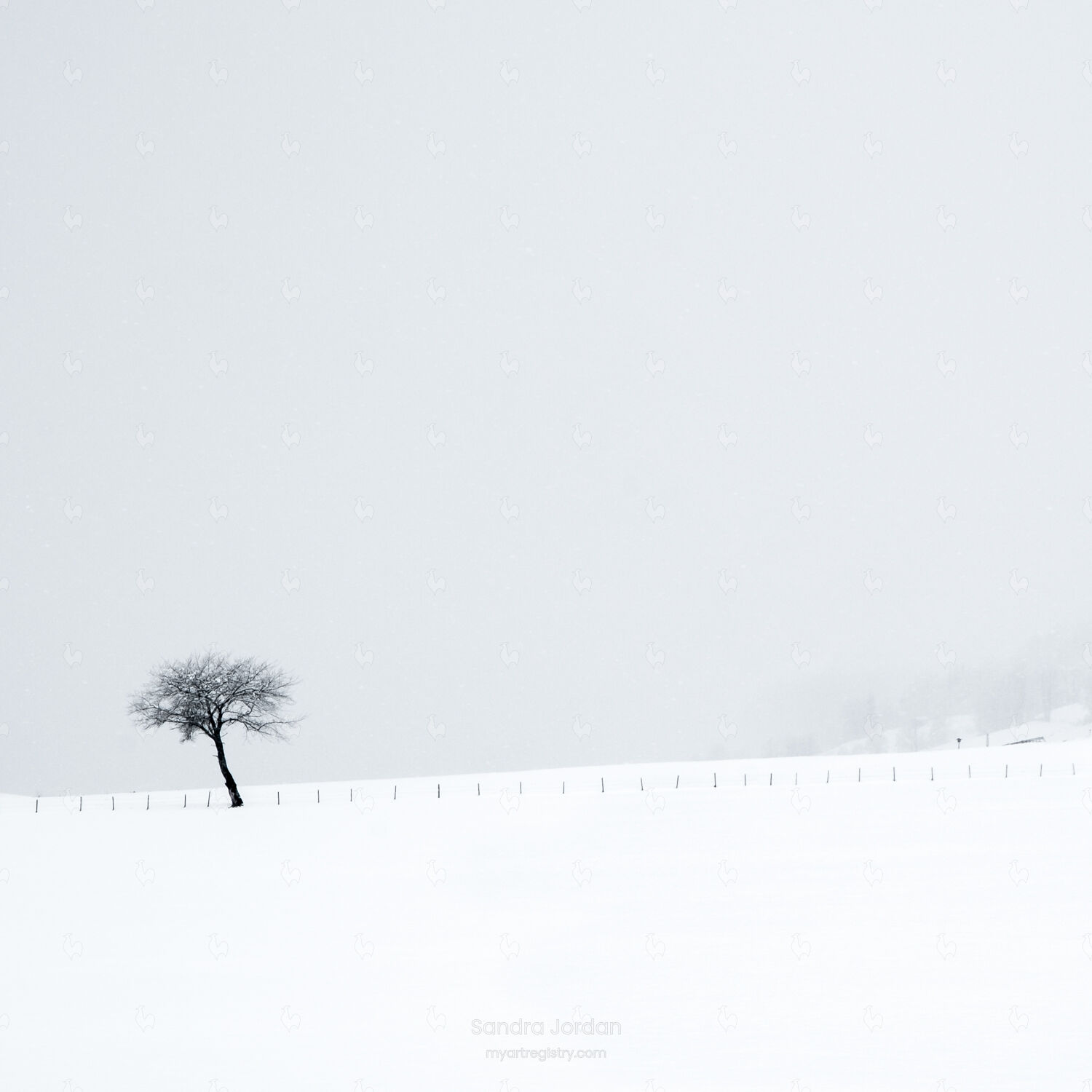 Alone #8