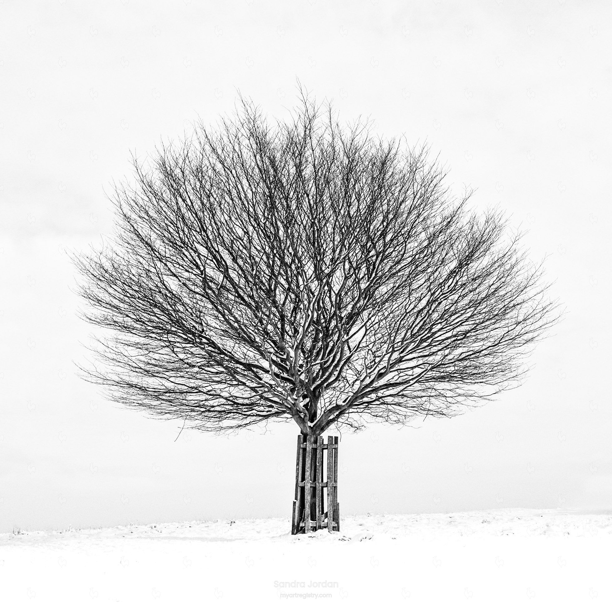 Alone #11