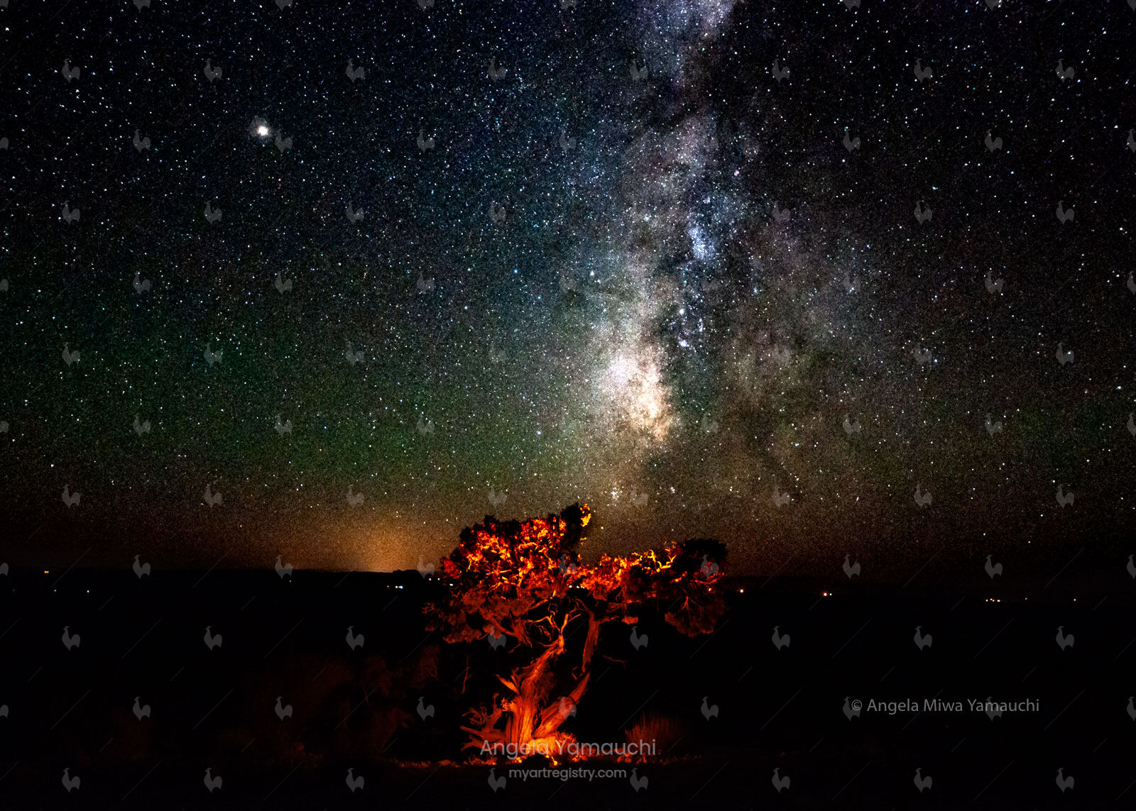 Fire Tree