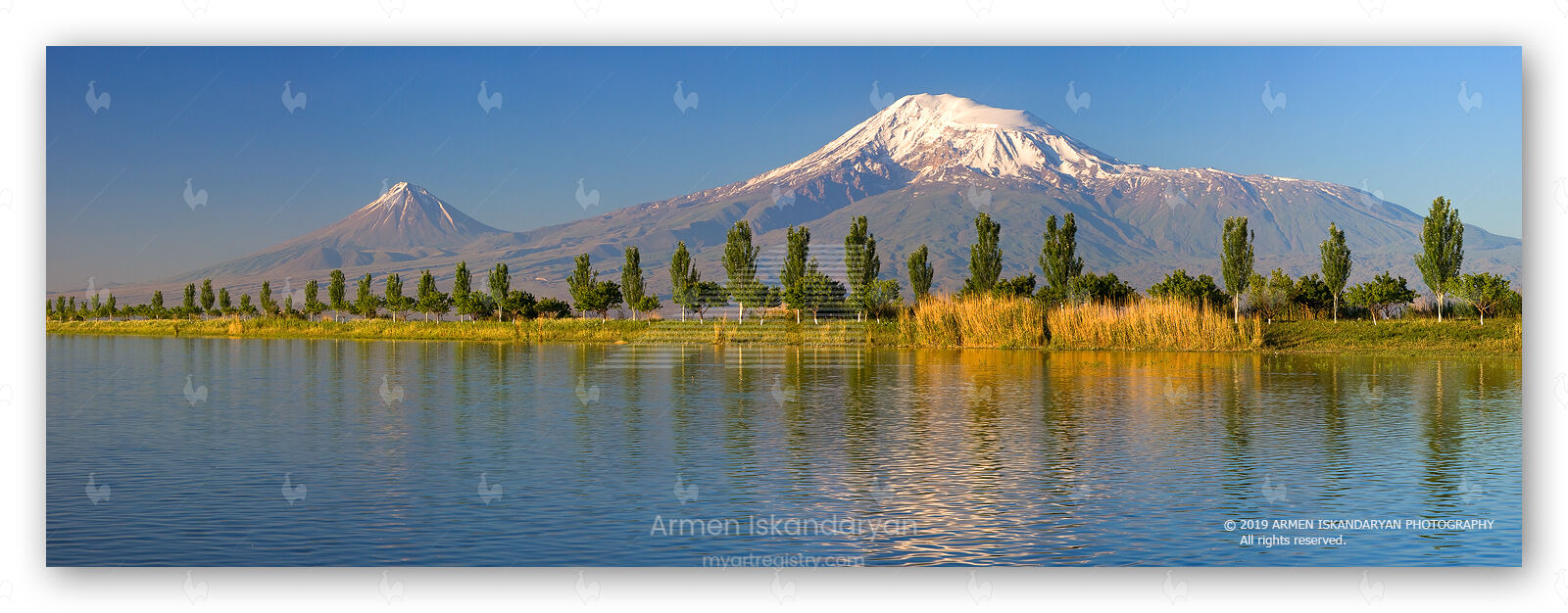 Mountain Ararat - Reflection of Trees · AR806P23-75-48