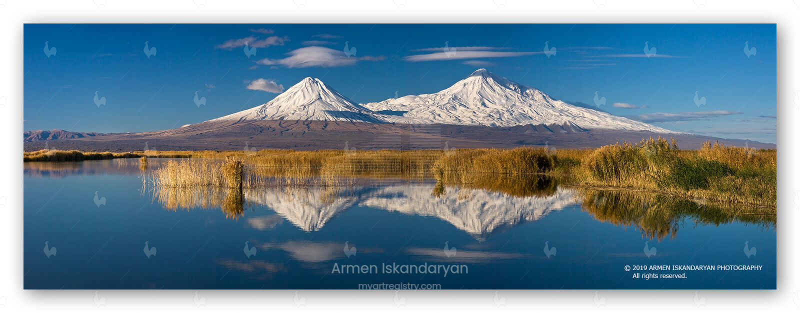 Mountain Ararat - Under Umbrellas · AR911P27-100-64
