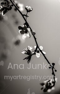 Lost Moment.-Hymn to Silence series.