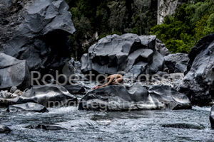Land of humans #21