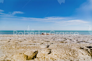 Land of humans #04