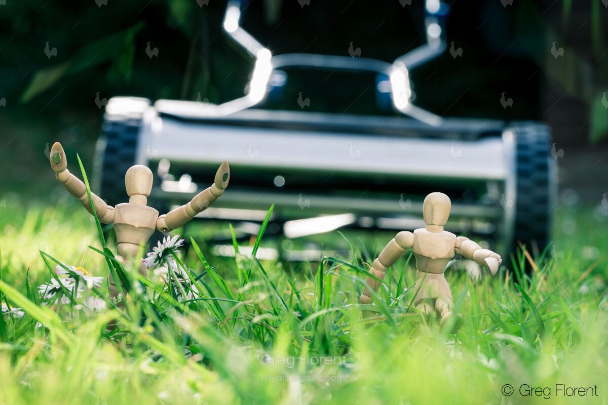 Run, Woody, run