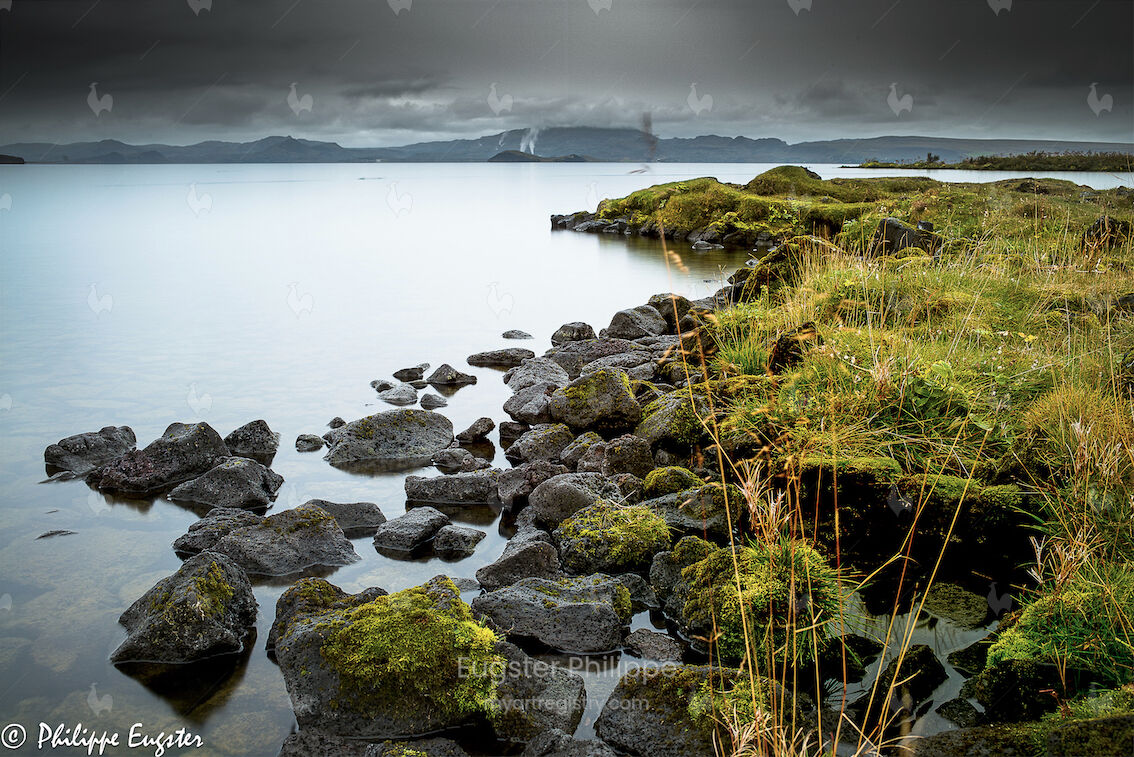 Islande 2016 Rivage