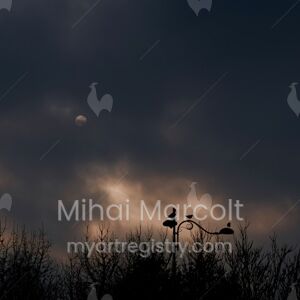 Full moon