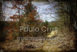 The Path to Spring