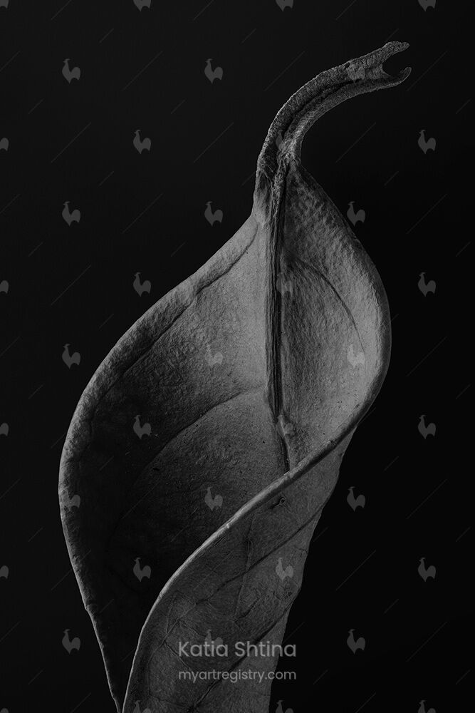 1908-01-67100