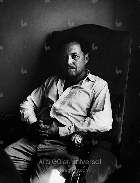 Tenesse Williams in his study