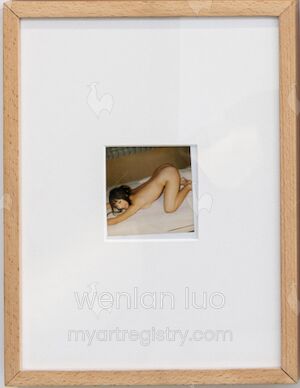 Nobuyoshi Araki polaroid