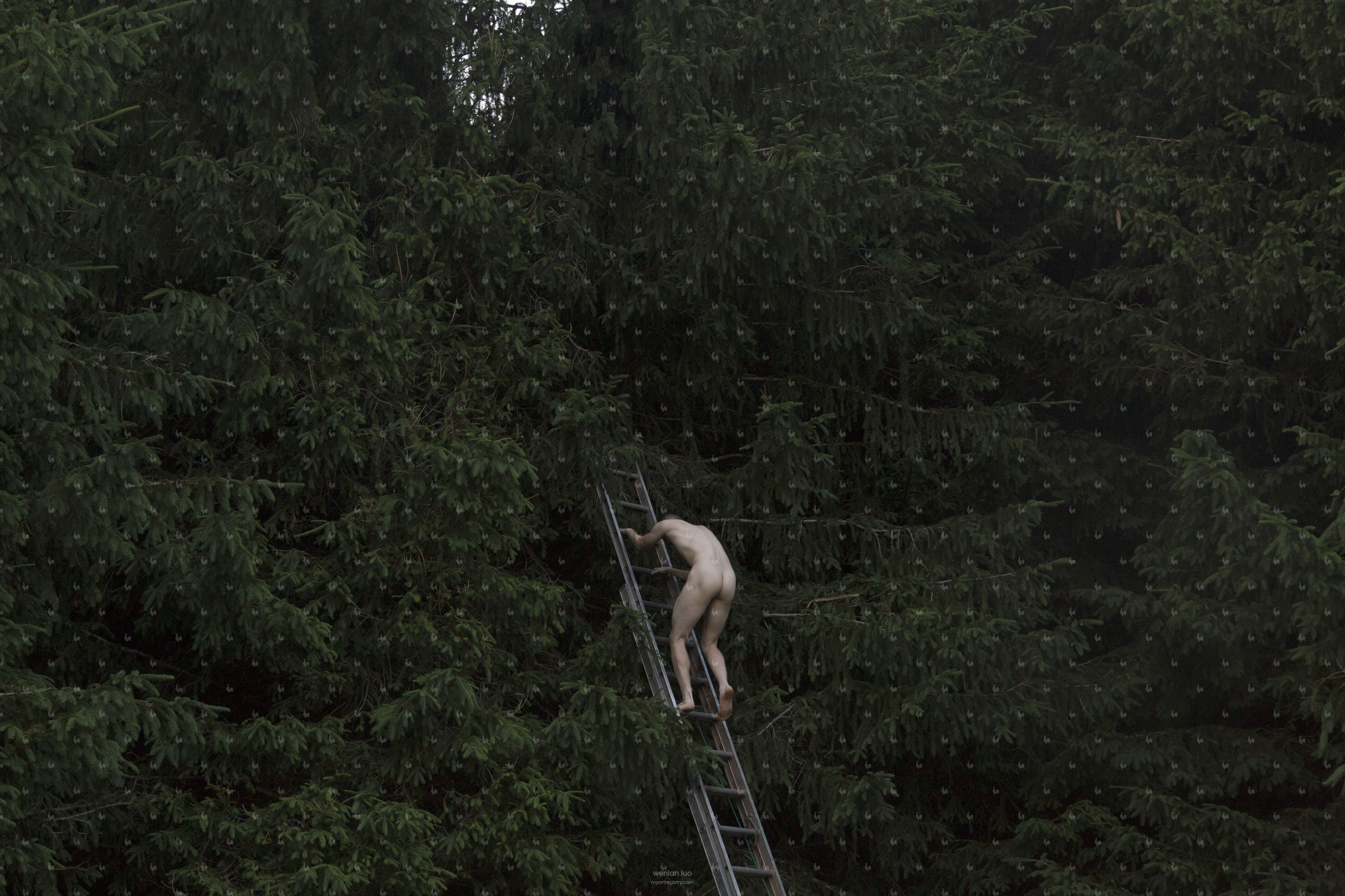 Ladder