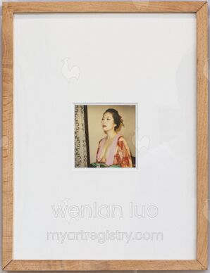 Nobuyoshi Araki polaroid