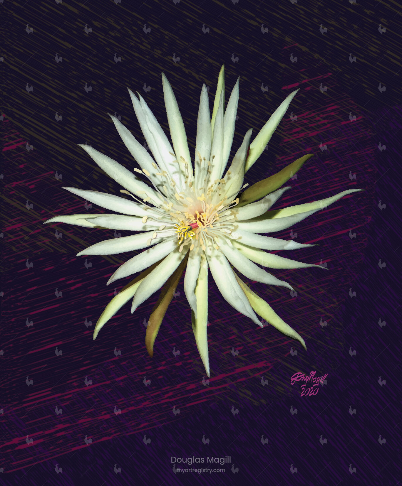 Night-Flower-2