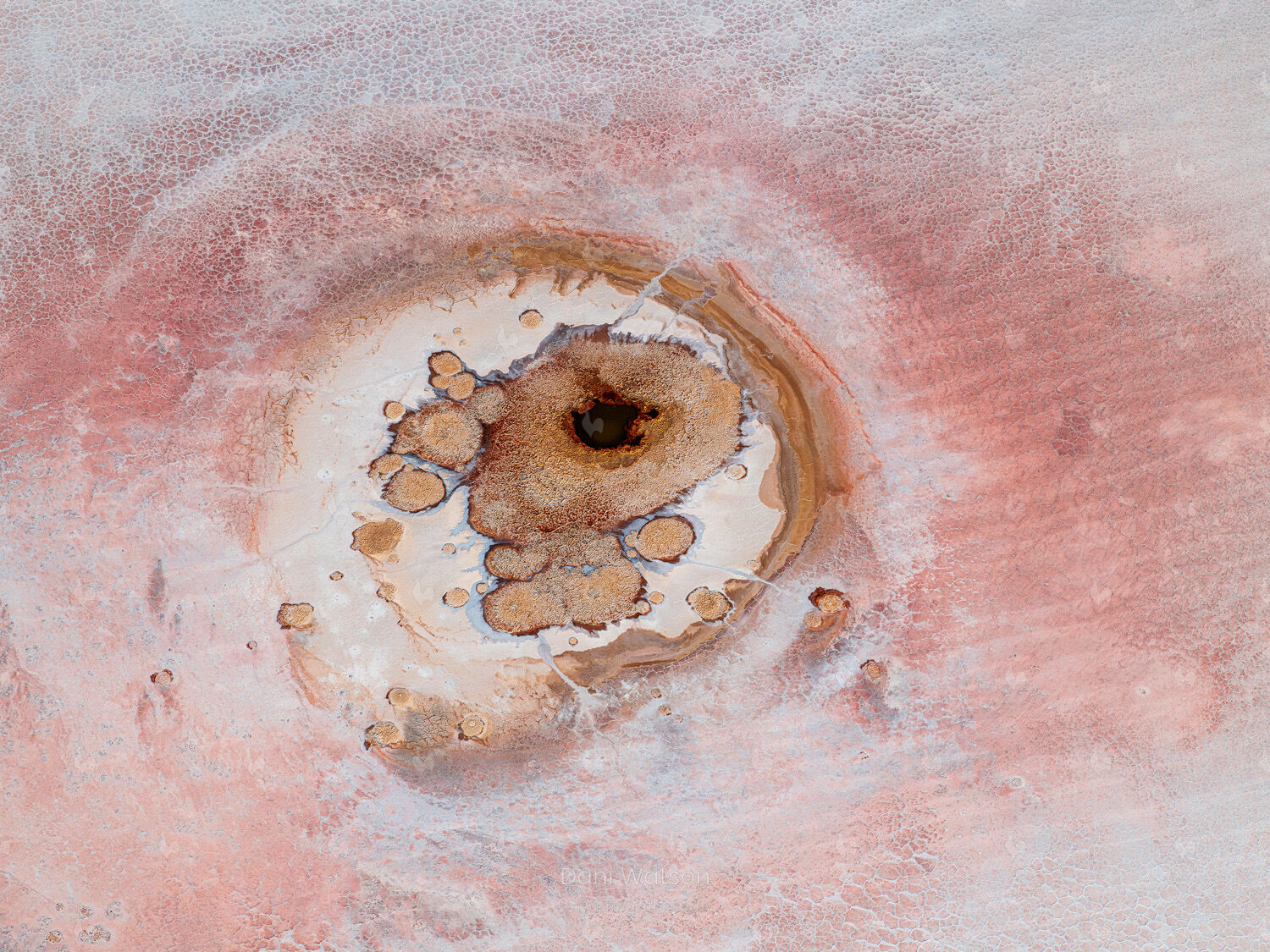 Desert Blush