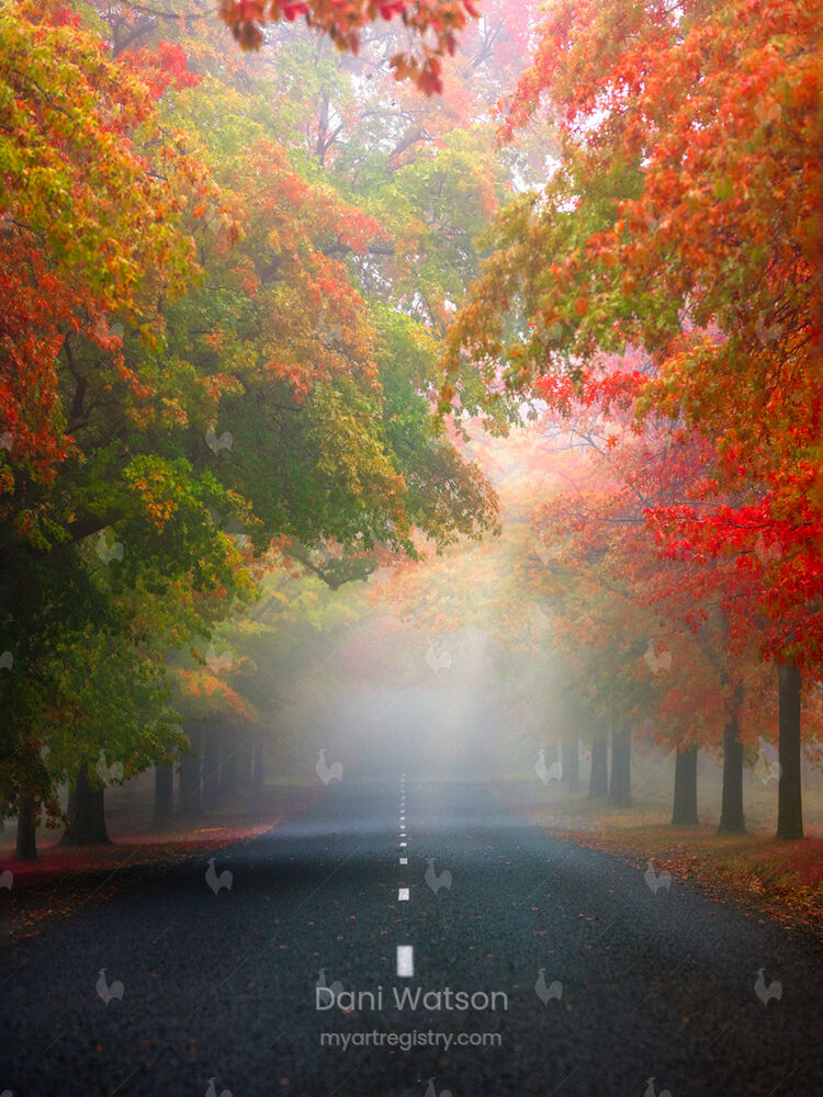 Autumn Symphony