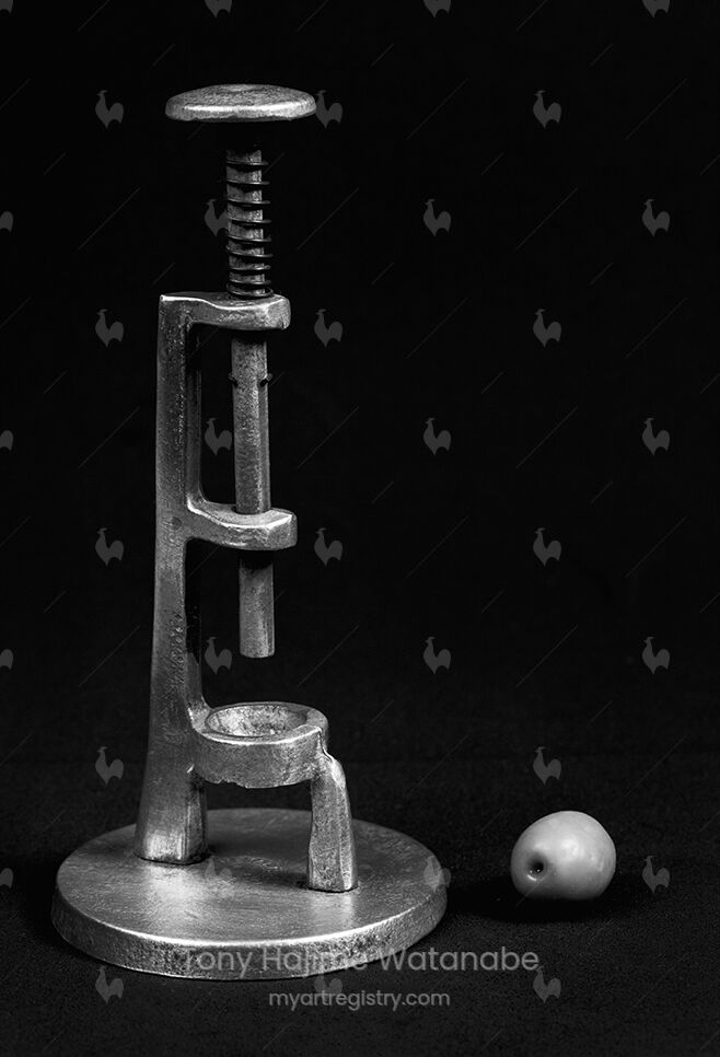Olive Stone Extractor ( Extrator de caroço de azeitonas )