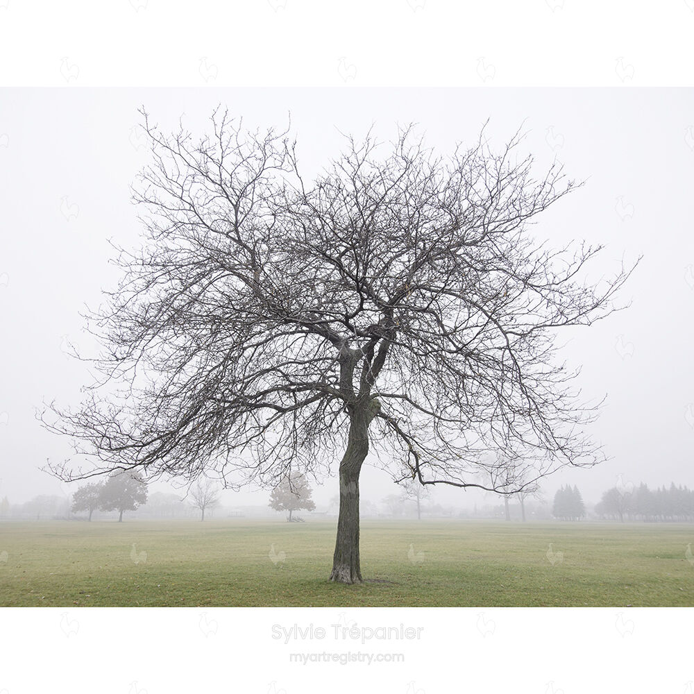 Contemplation-14