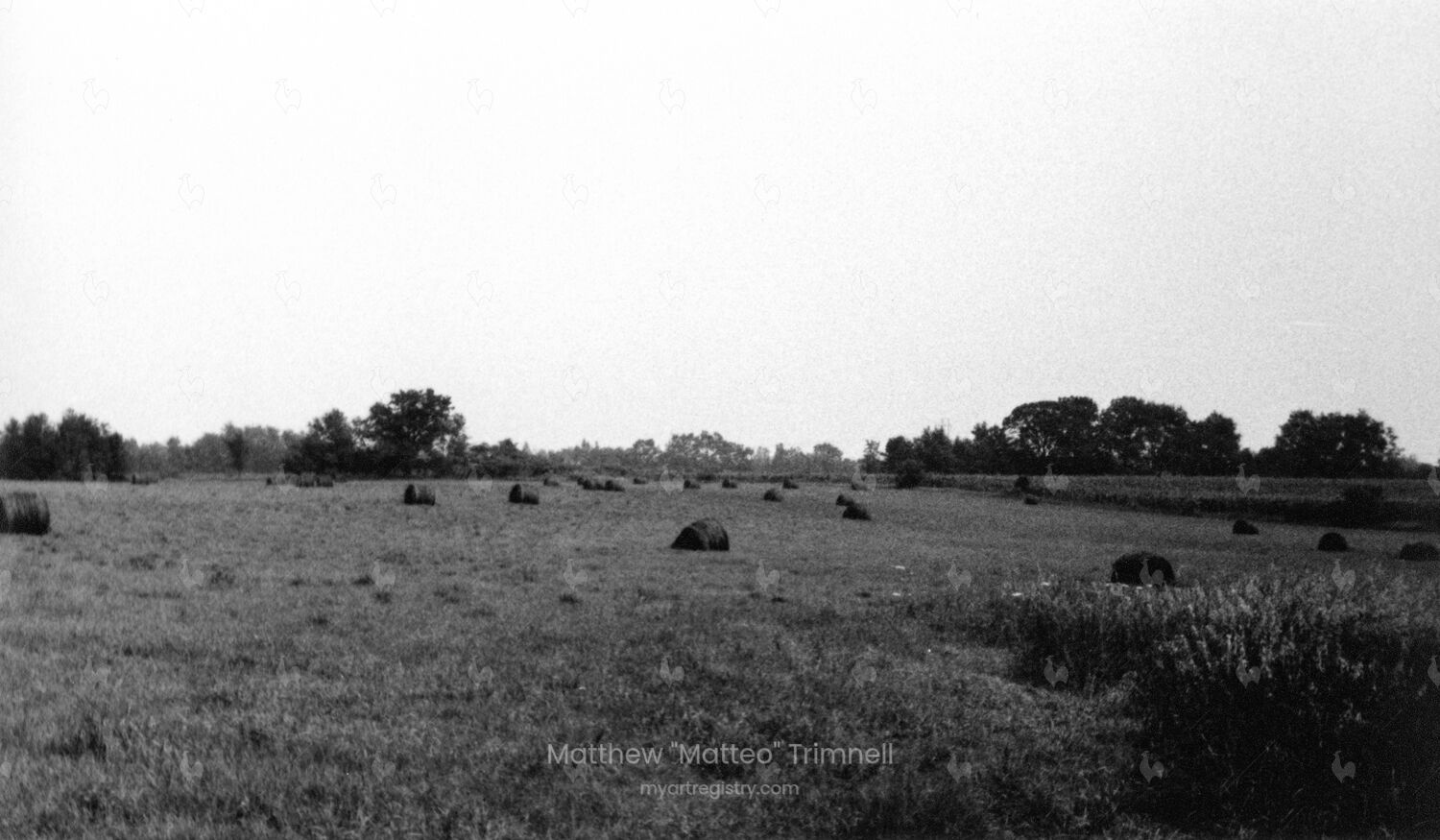 Three Rivers, Hayfield, Nothdruft Farm