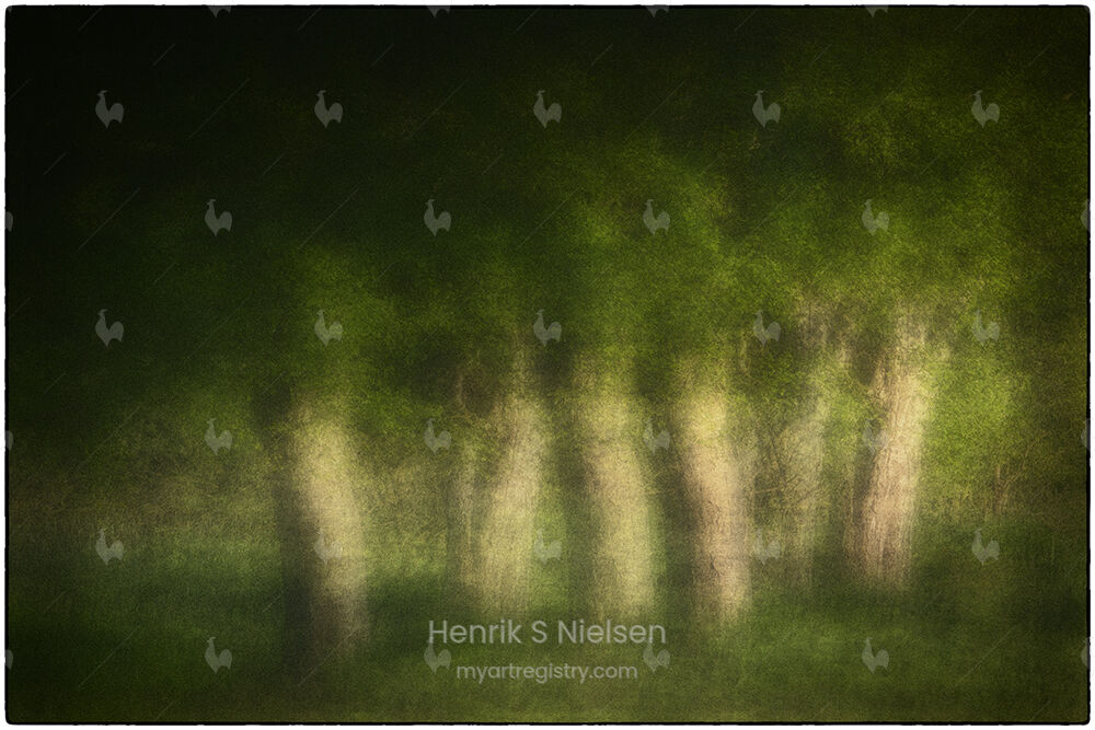 6 old trees