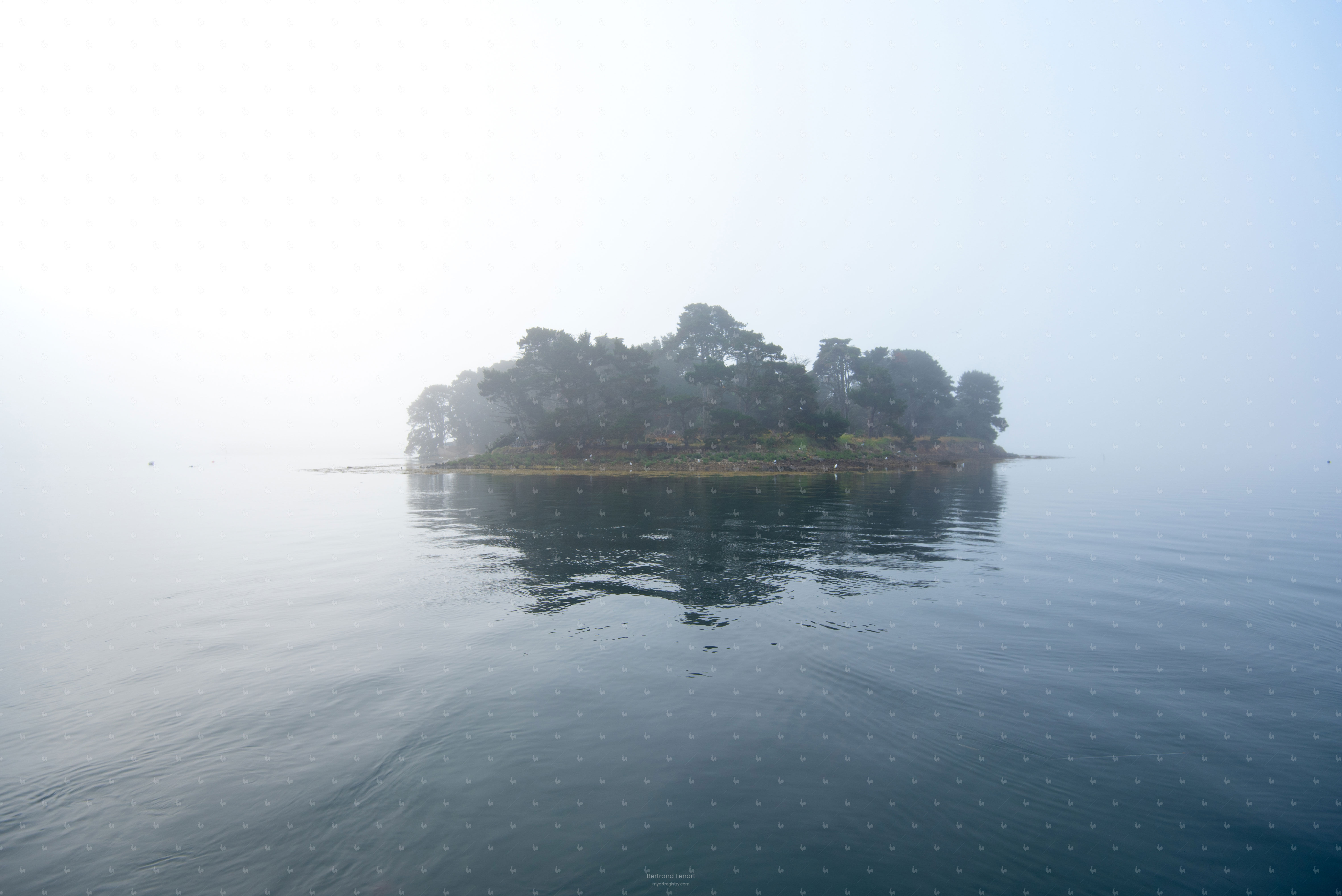 N°59 - Radenec dans la brume