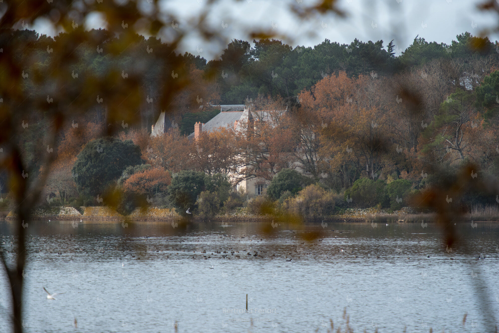 N°78 - Manoir de Toulvern - Tirage unique