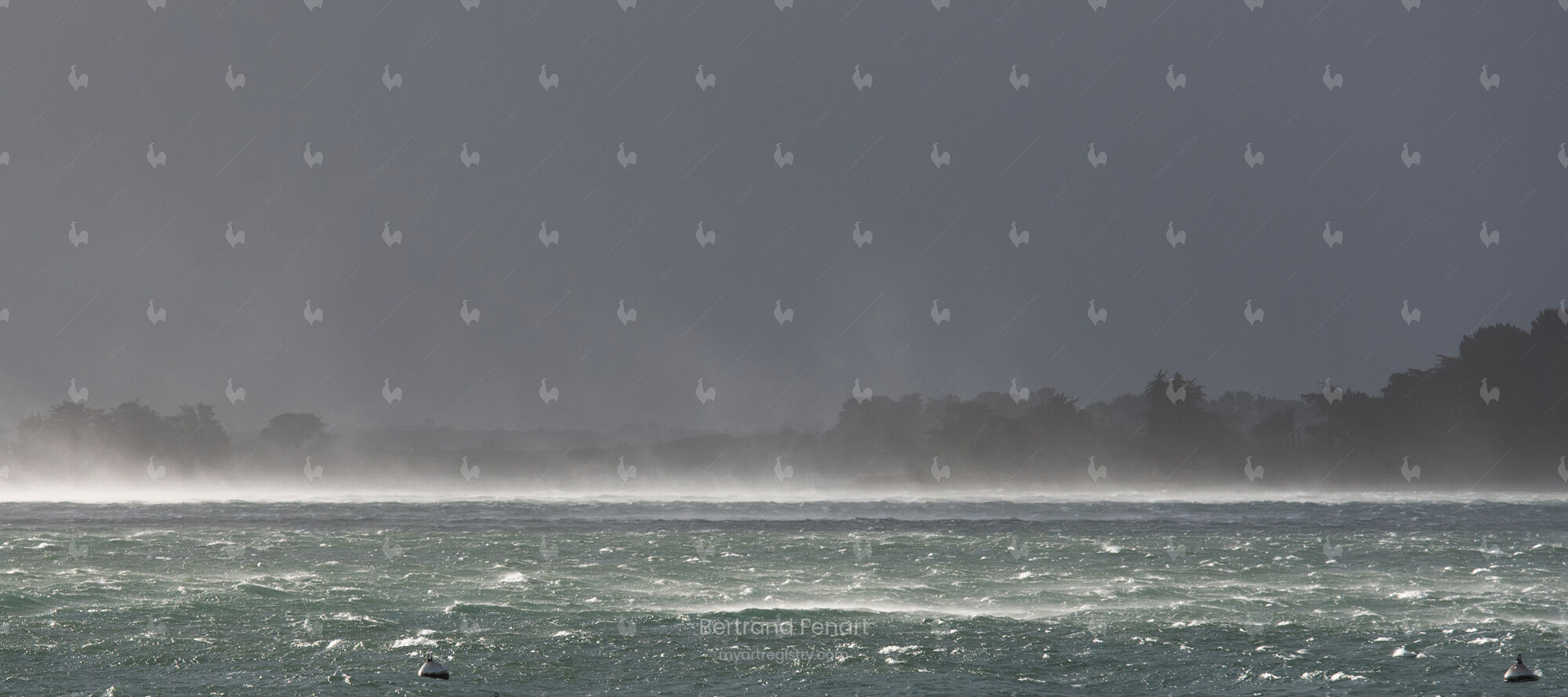 N°28 - Arradon sous la tempête