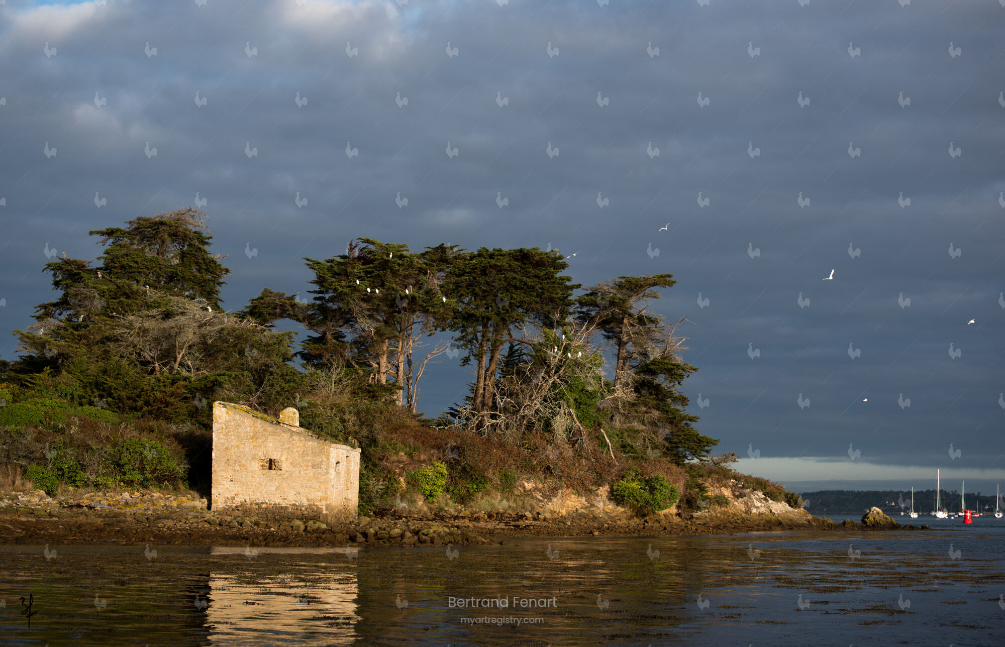 N°63 -Grand Huernic sous un ciel d’orage