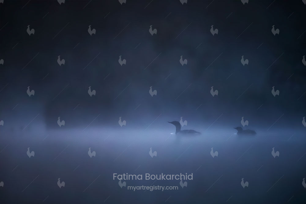 Midnight In The Forest