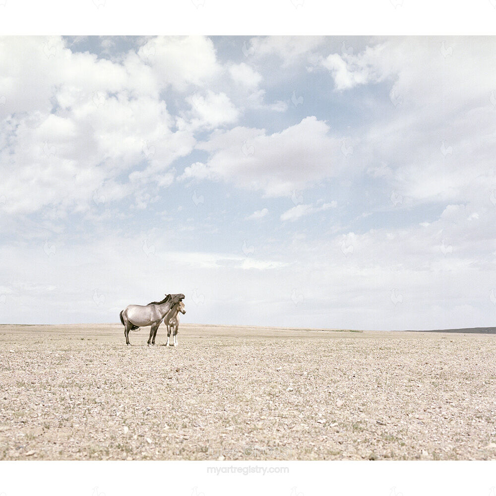 Mongolia n°10