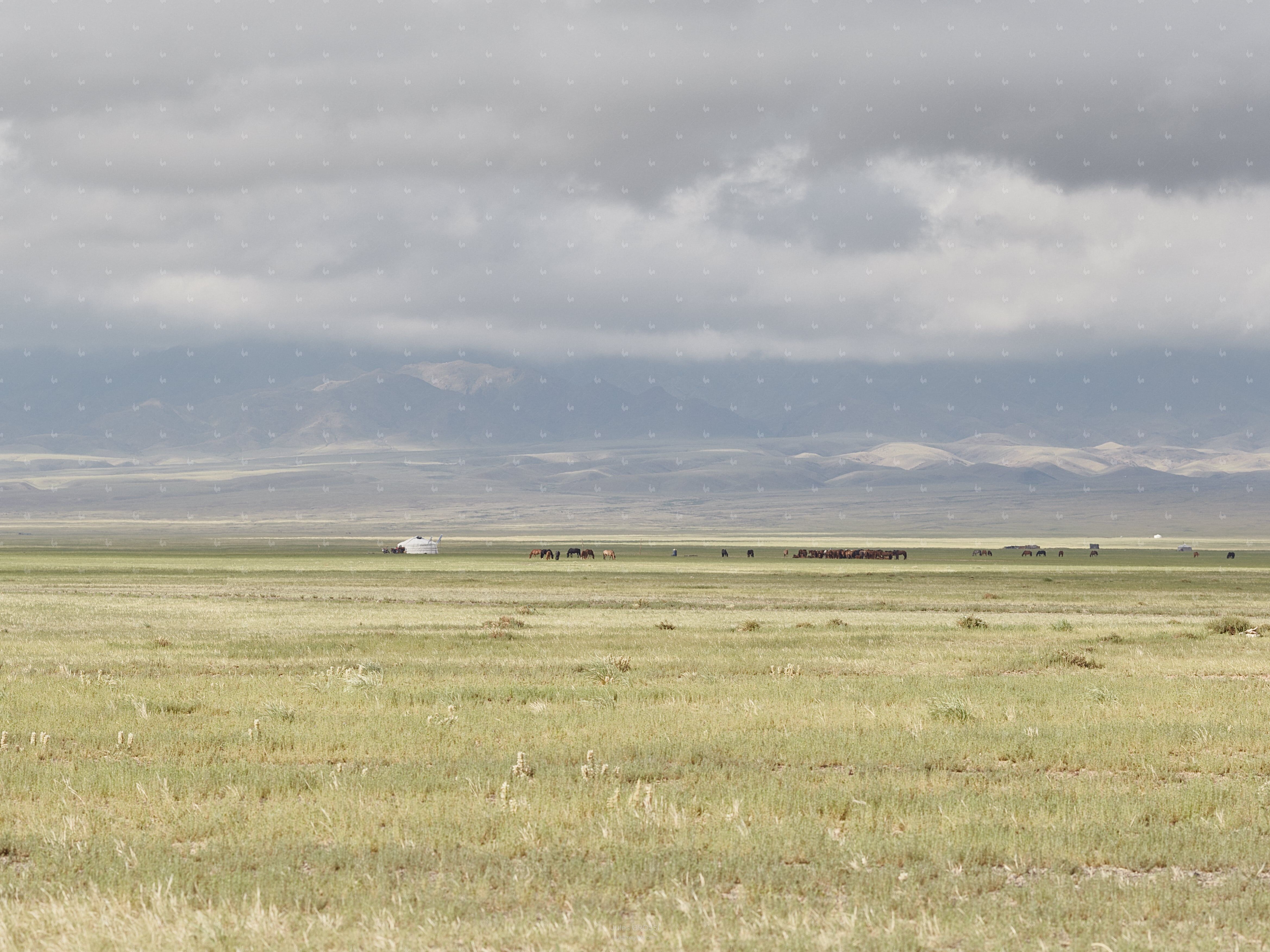 Mongolia no. 03