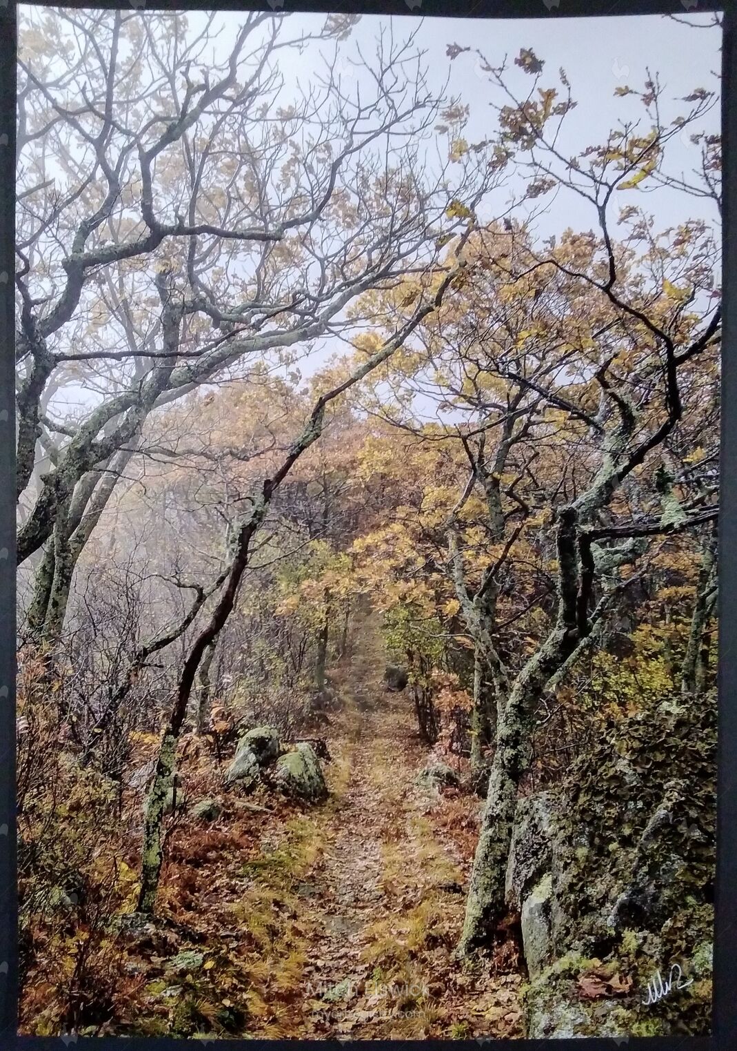 Shenandoah Pinnacle