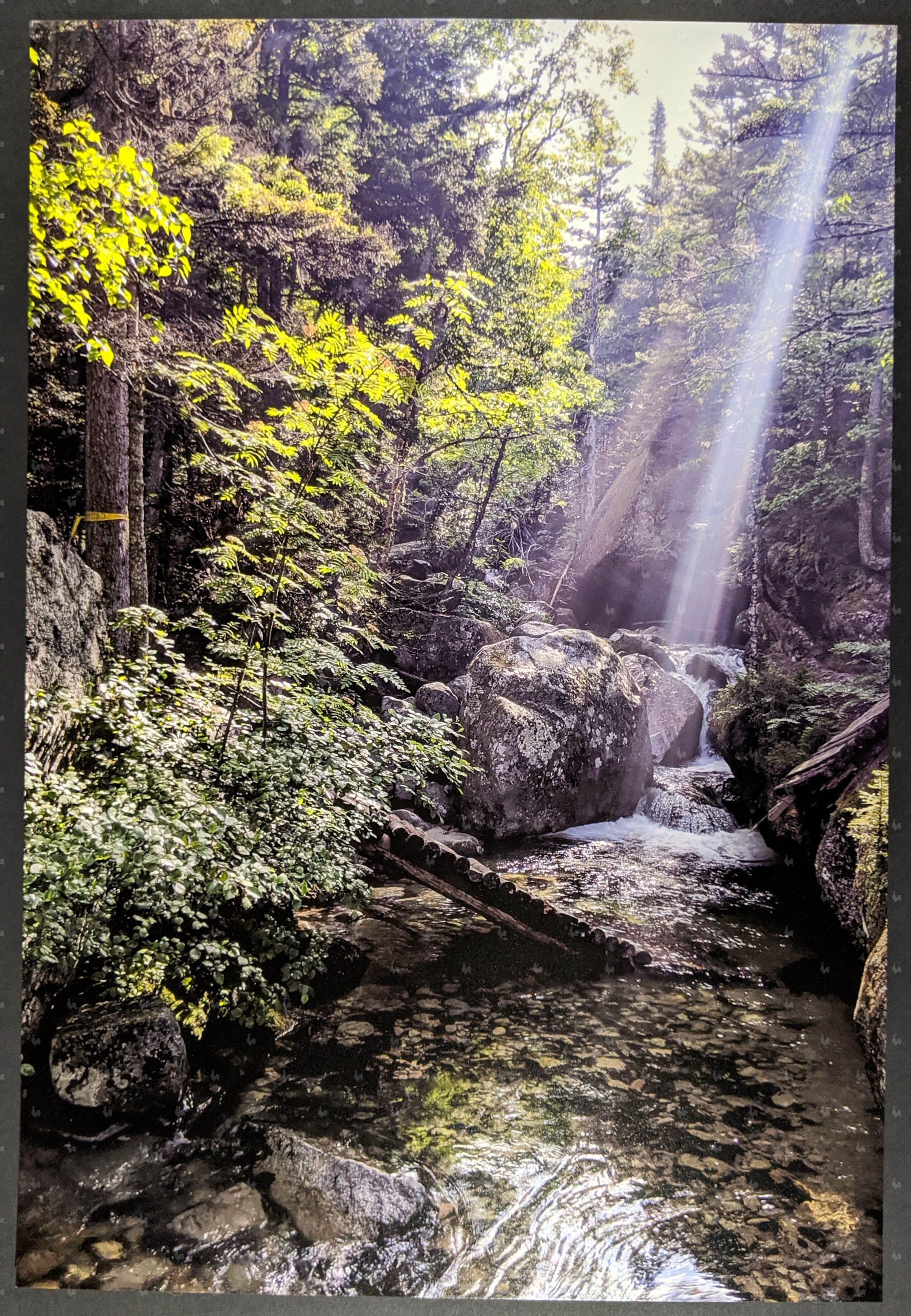 Near Mt. Katahdin