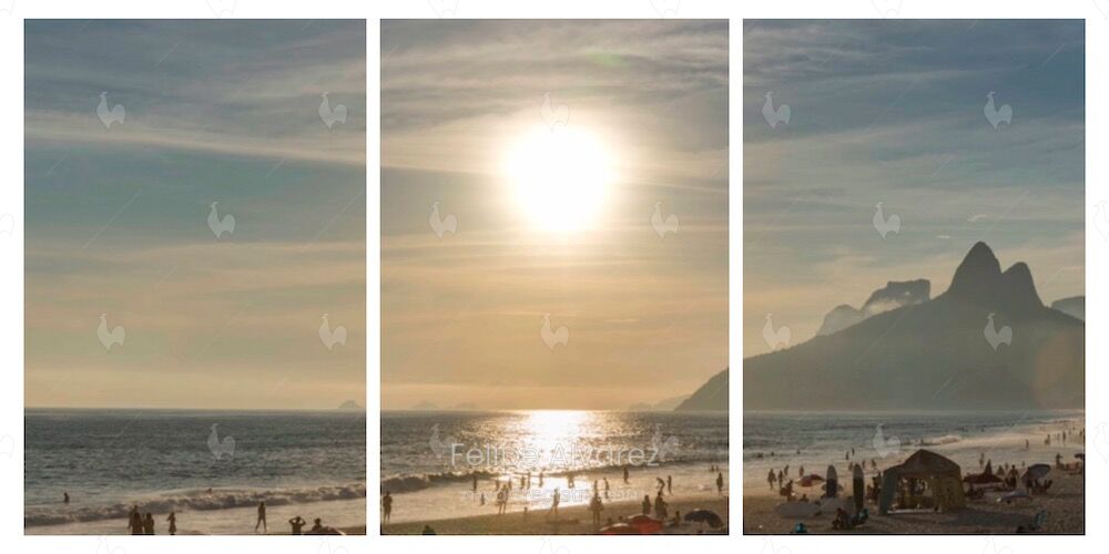Sun Flare, 2019