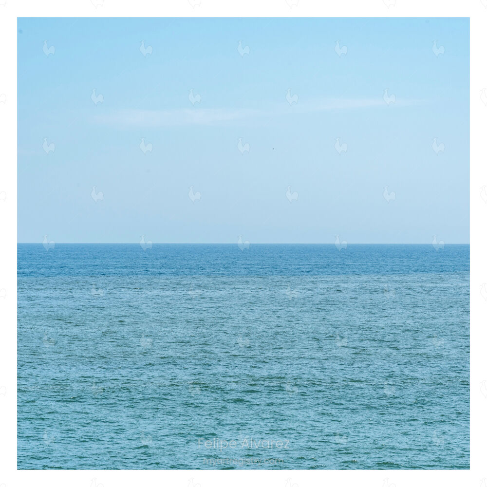 Half Blue, 2019