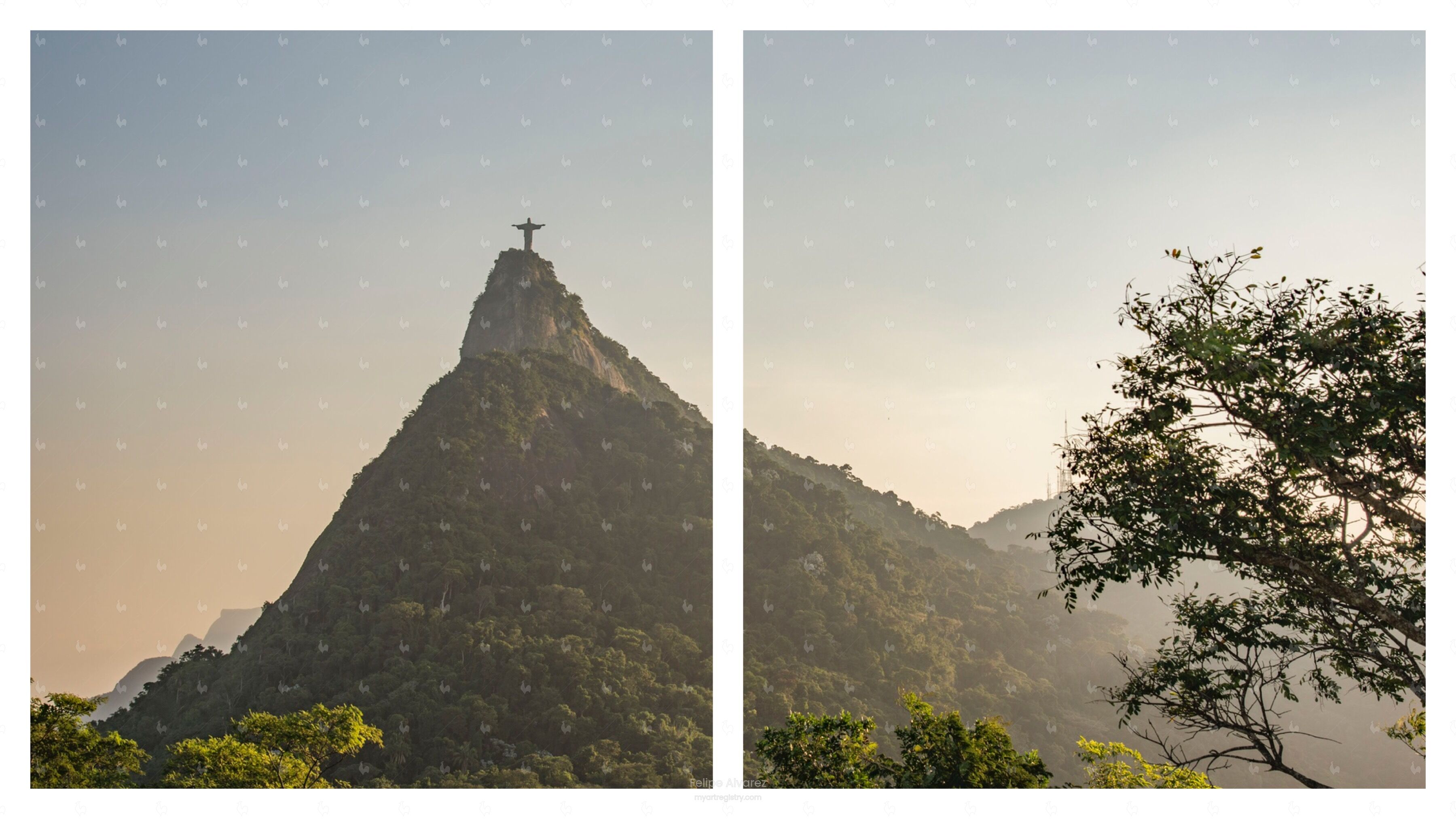 Above, 2019