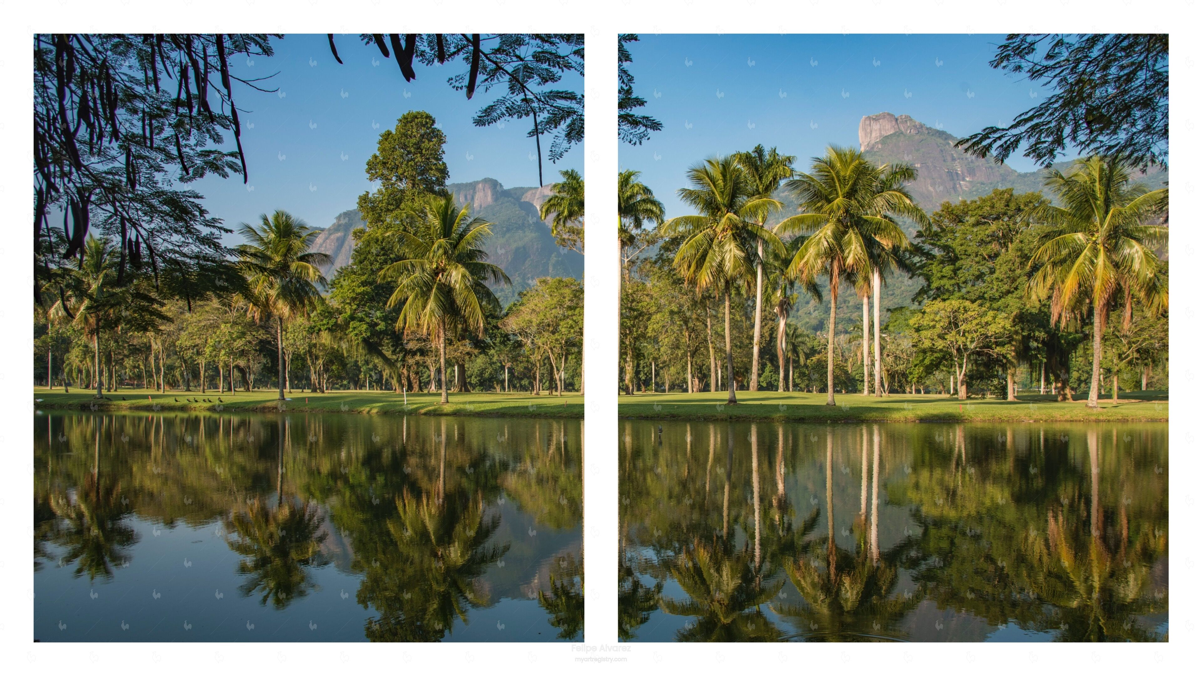 Pedra do Golf 2D, 2019