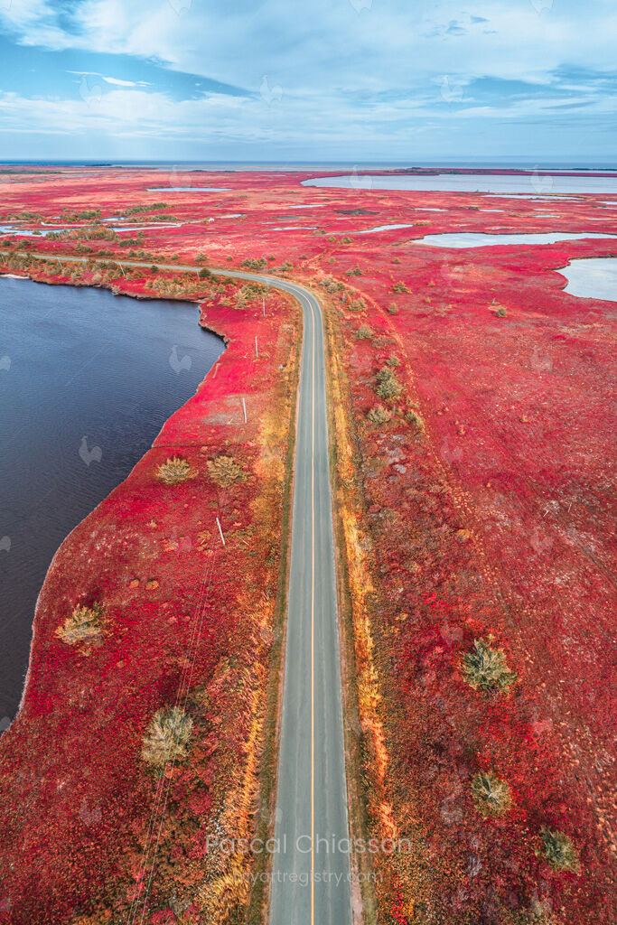 Plaine rouge #1 de 10 Édition Limitée