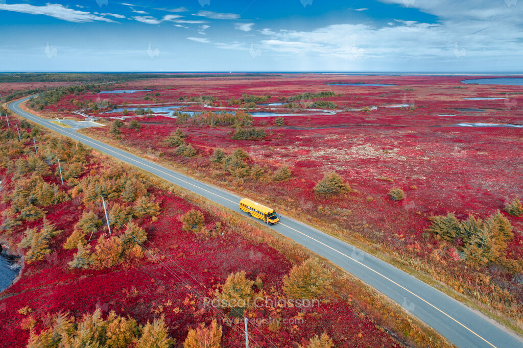 Transport scolaire à l'automne #1 de 10 Édition Limitée