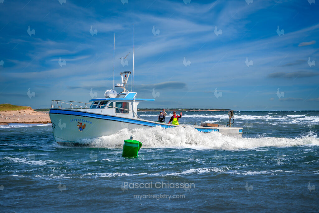 Le Petit Castor