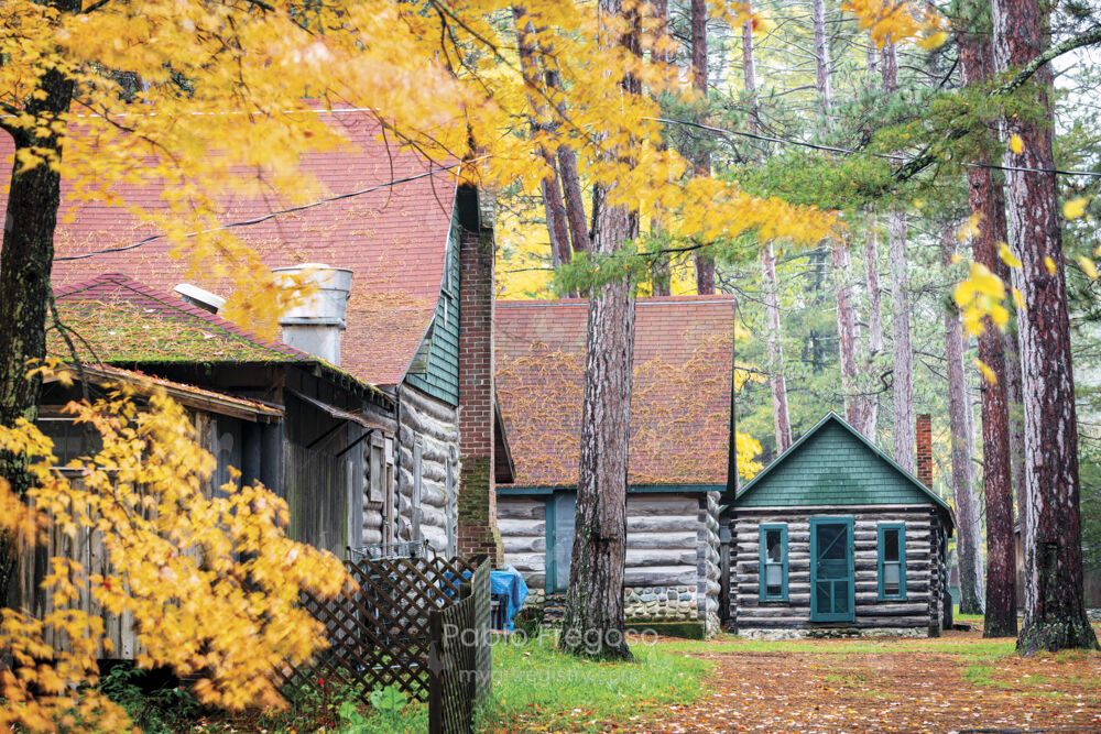 RAC: Quad during the fall