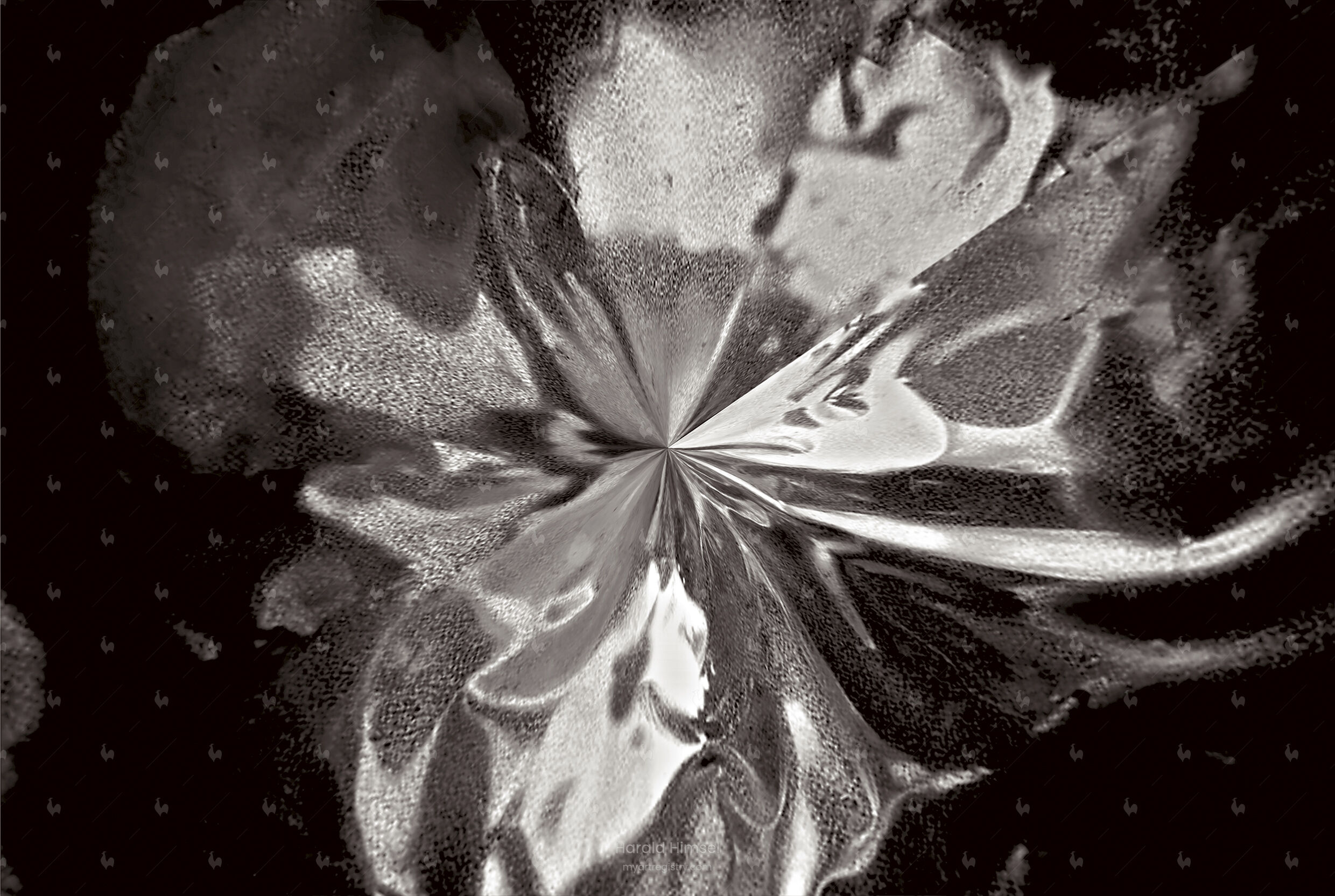 Steel Orchid